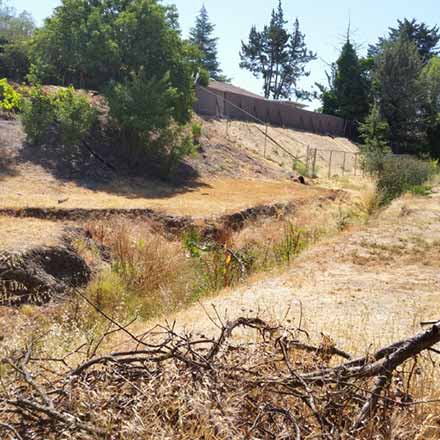 Pat Molnar General Engineering Centennial Creek Restoration San Luis Obispo County