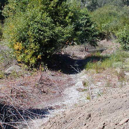 Pat Molnar General Engineering Stream and Creek Restoration San Luis Obispo County